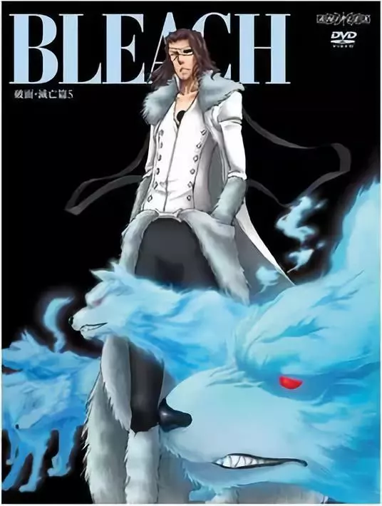 《死神bleach》中的十刃,你知道象征哪十种死亡因素吗?