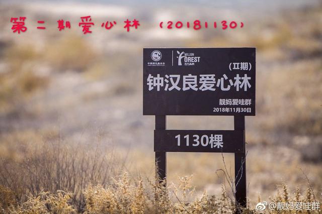 赞!粉圈好榜样,看钟汉良粉丝是怎样追星的