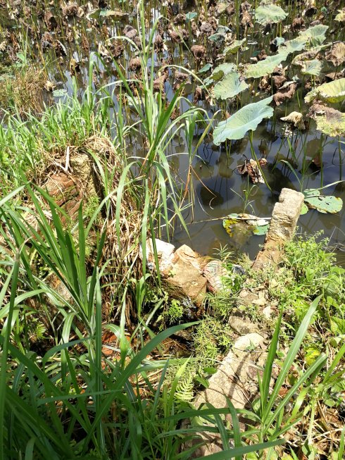 罗定市上宁村格木桥村梁氏始祖及发源地