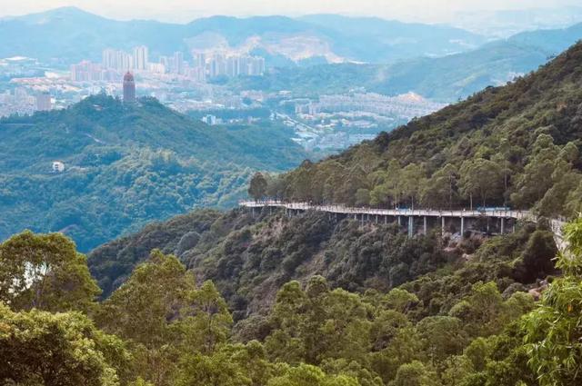 春节为什么要去深圳弘法寺添堵,这个地方更好