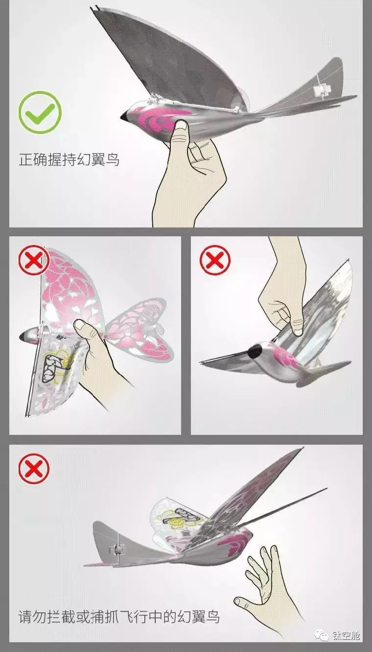 春节送孩子的好礼物，锻炼注意力、协调平衡感的黑科技幻翼鸟，1只手就能操控 | 钛空舱