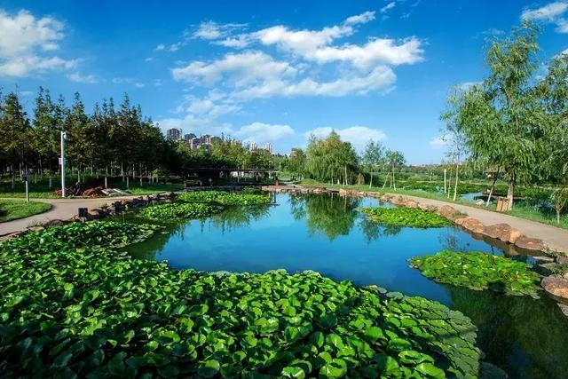 大连湾前关湿地公园 这里有精致动人的自然景观,享有城市"生态后花园