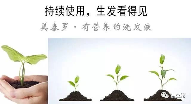 秃顶90后自救指南，一秒起泡，预防干枯分叉，春节不打烊｜大咖荐品