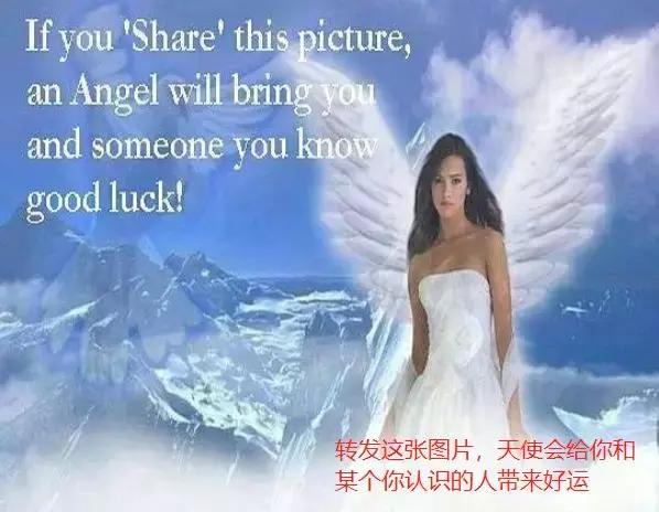 能和中国土味表情包PK的，可能只有这些土味网站了