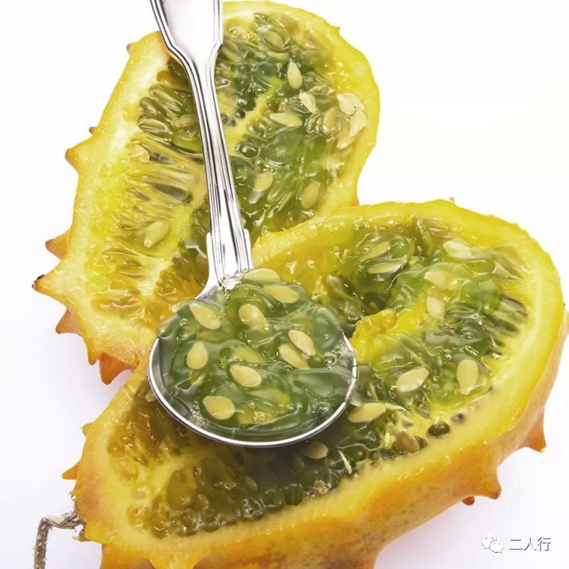 刺角瓜的果肉