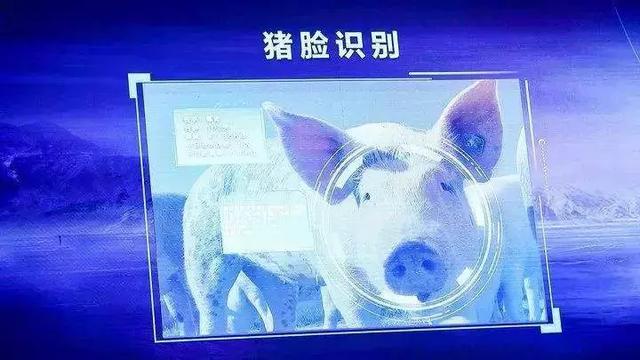 AI做得深，赶快去农村