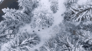 扯白||这个女团刚出道就要被“雪藏”