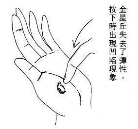 女人面相算命图解(一)