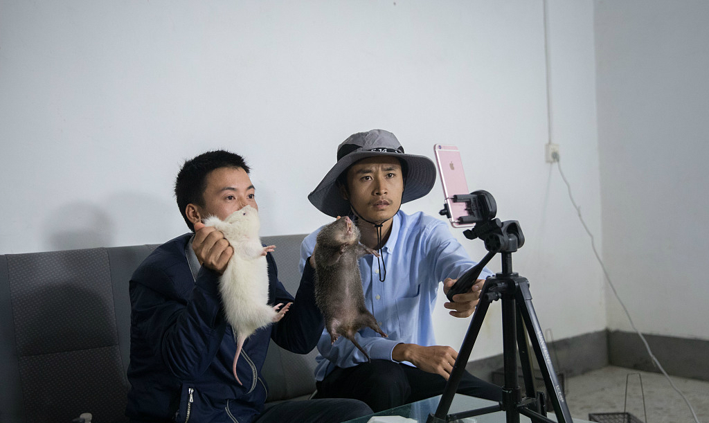 网红“返乡”：到更广阔的天地中去