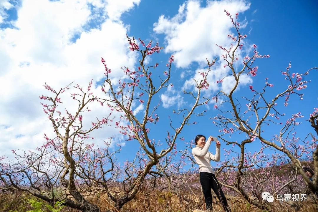 而在威宁县龙场镇树舍村余家沟,桃花是充满人家烟火气和泥土芬芳的"