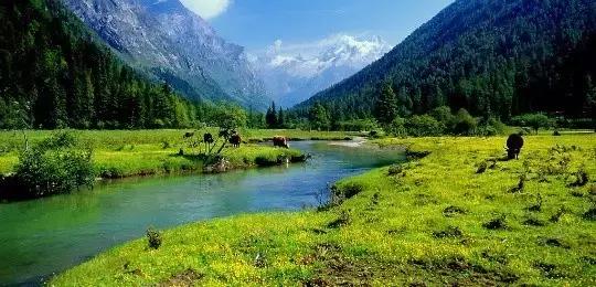 不用去瑞士,成都也要有山地火车了,直达四姑娘山!