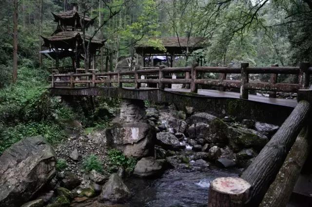 不用去瑞士,成都也要有山地火车了,直达四姑娘山!