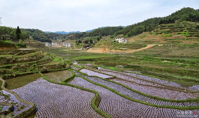 紫鹊界:湖南魅力迷人的梯田王国