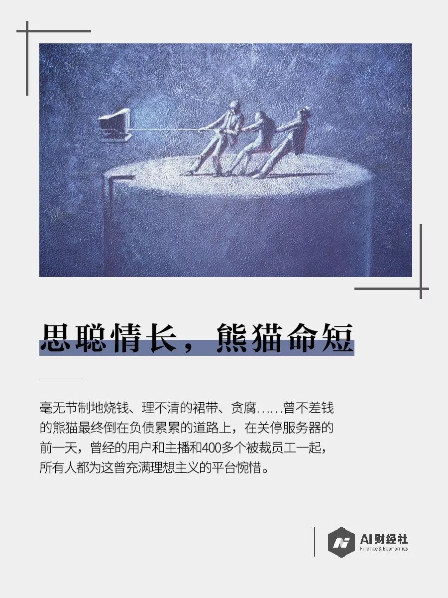 思聪情长，熊猫命短