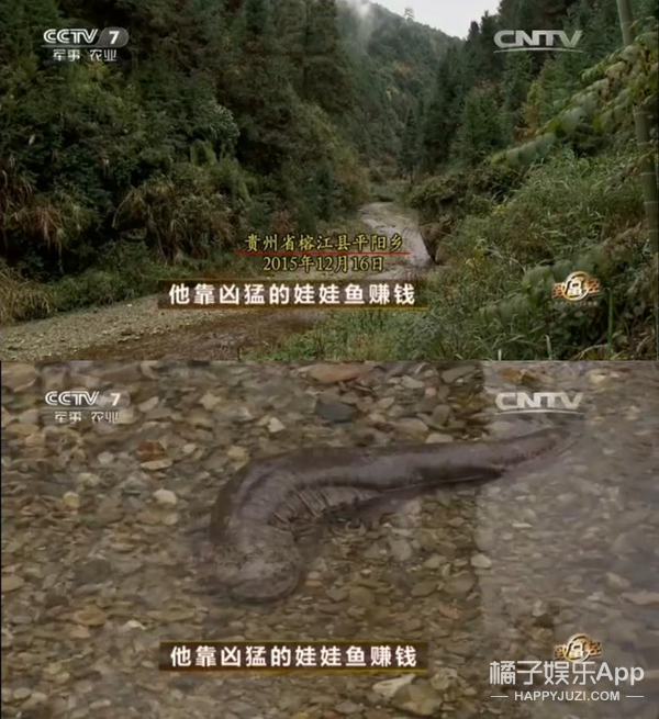 他怎么做个菜就被骂了？
