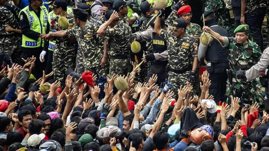 印尼年度“榴梿节”新鲜榴莲免费吃是怎么回事 现场火爆异常