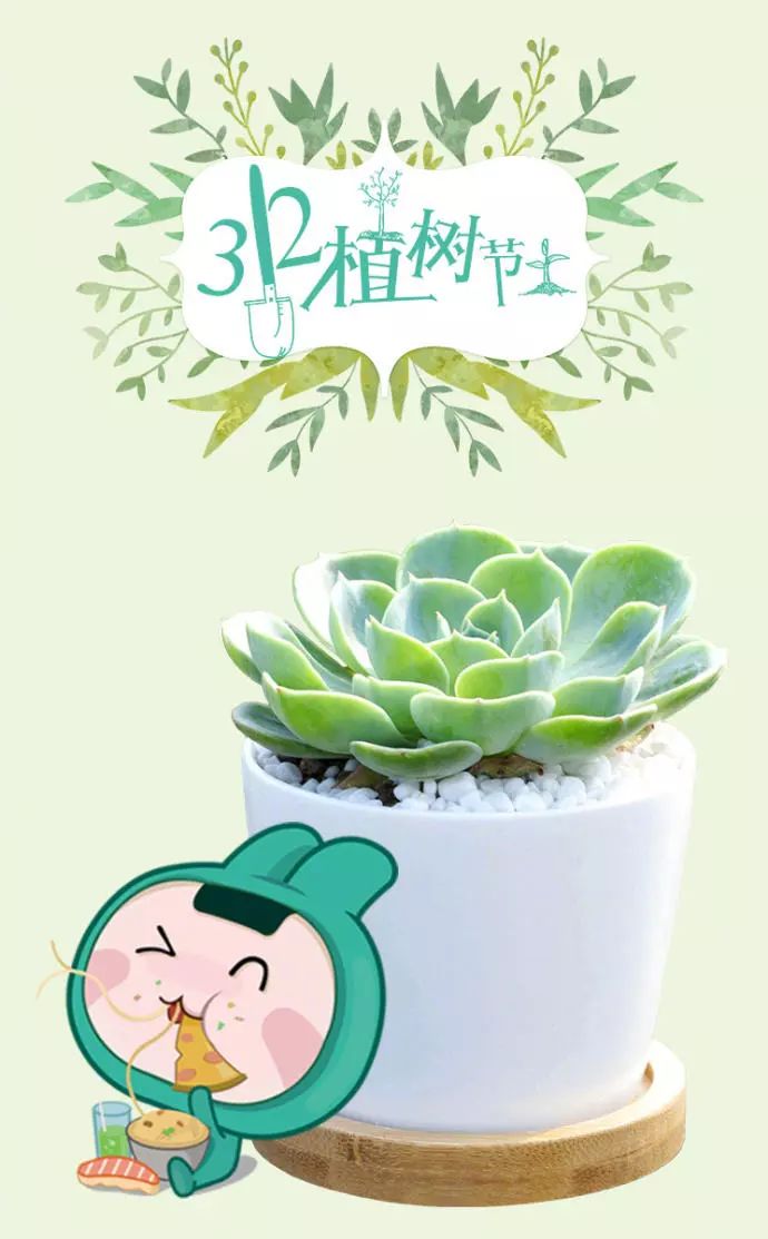 植树节文案杜蕾斯很能撩!