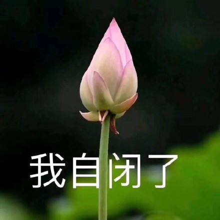 扒一扒做号黑产：看什么世界？我要看露露