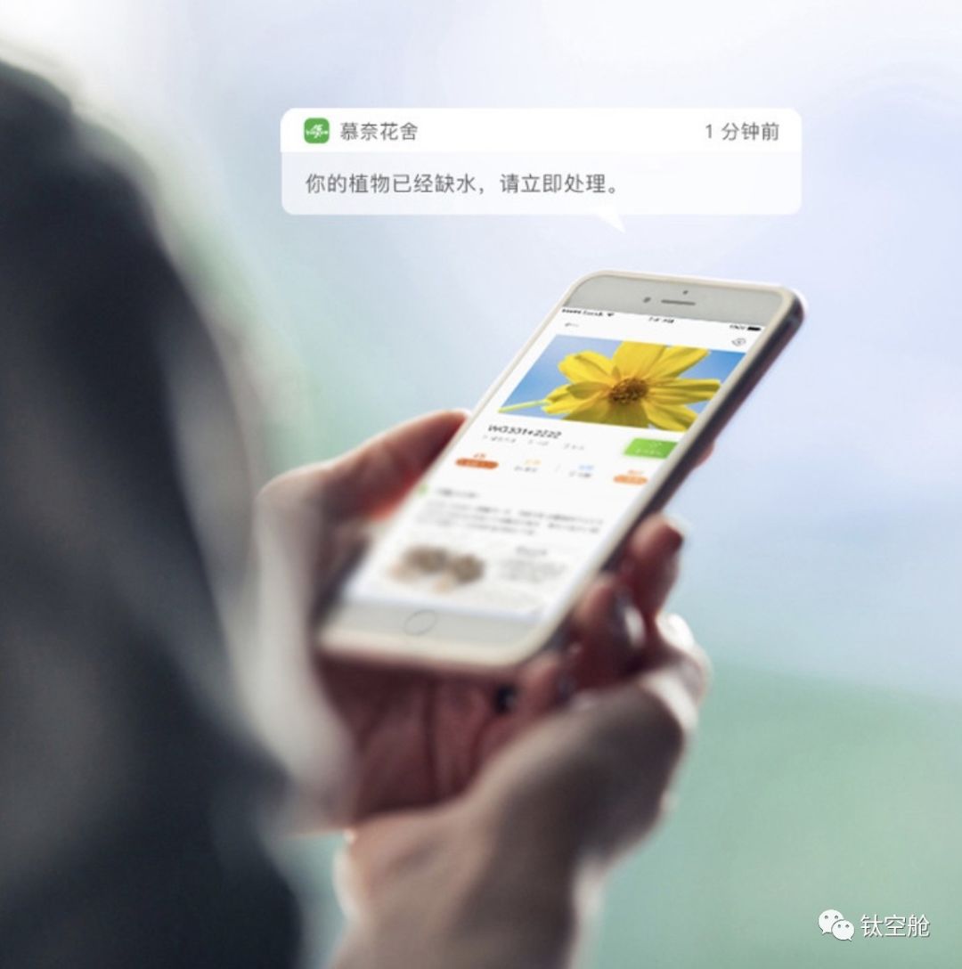 能当台灯，能养花，无土养殖智能养花机，开启养花新模式 | 钛空舱