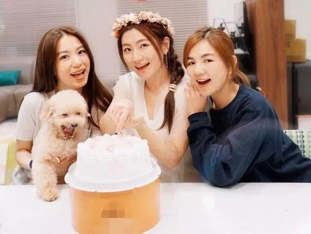 Selina悲痛吻别15岁爱犬，曾因它与前夫不和成离婚导火索
