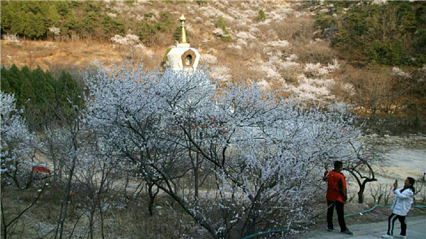 河北遵化桃花山风景区欢迎您