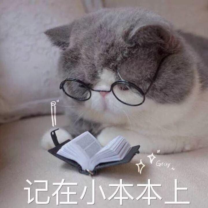 又一个女星在网红滤镜下翻车了，漫画脸鼻祖也经不住啊！