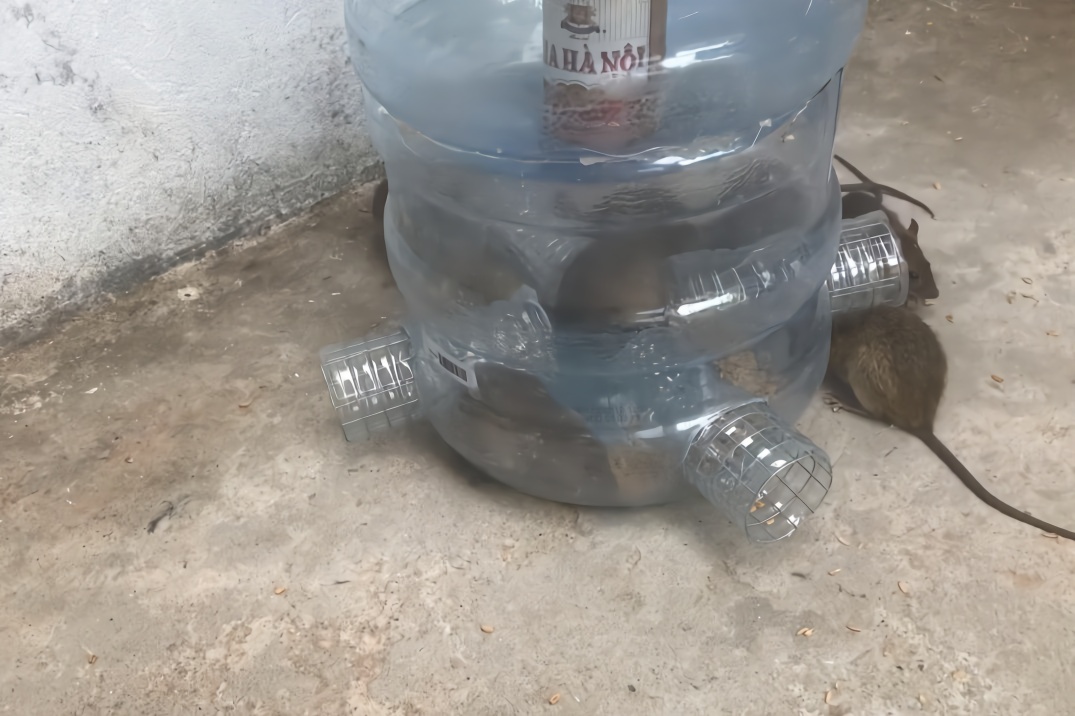 抓老鼠器的制作方法图片_纵览新闻