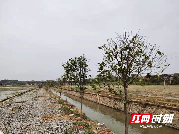 发现一处整治一处 耒阳市暗访抽查乡镇河道管护工作