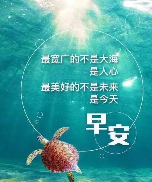 3月31日早安心语_大风号_凤凰网