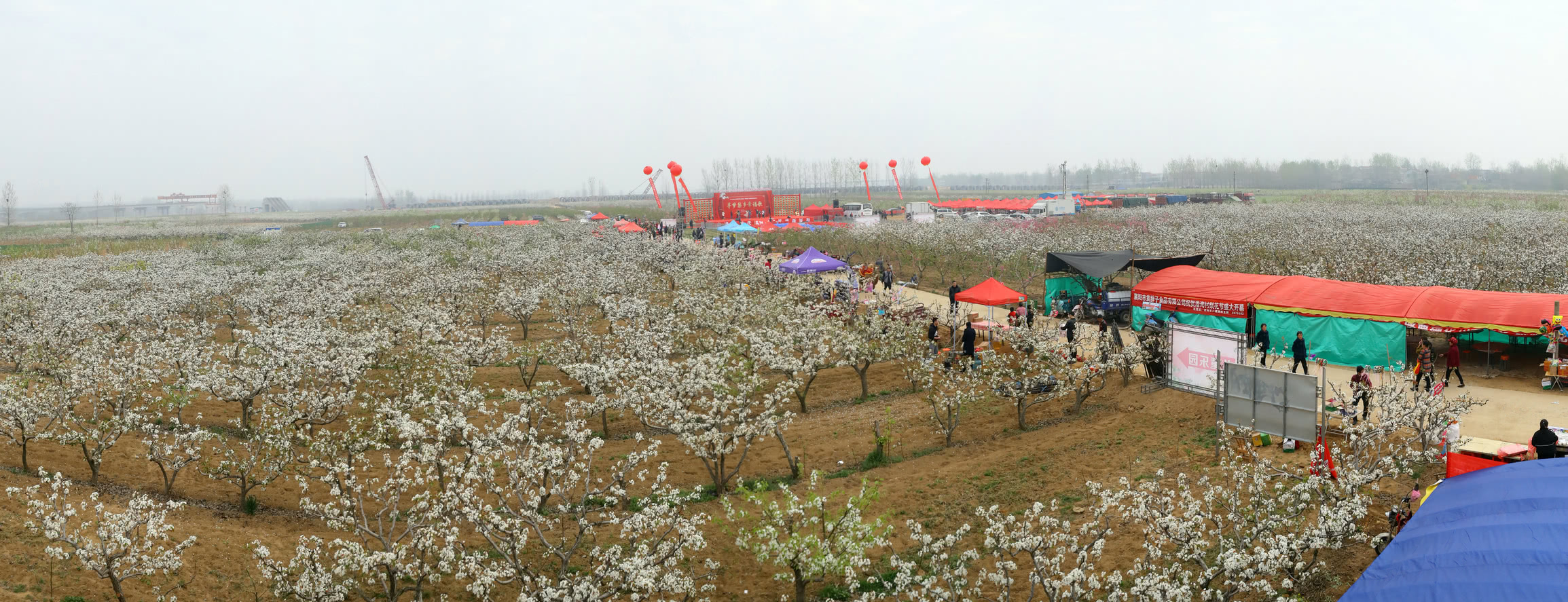 "寻梦梨乡幸福歌"2019襄阳人游襄州暨朱集第三届梨花生态旅游周盛大