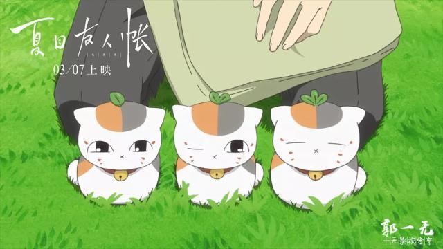 《夏目友人帐:缘结空蝉》猫咪老师很生气,后果很严重