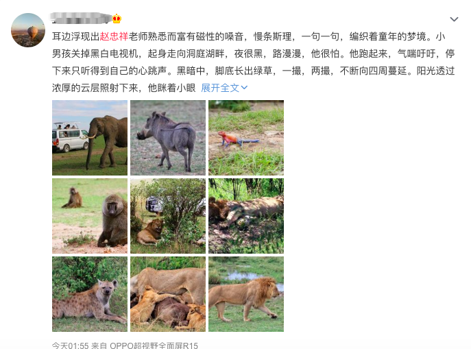 动物世界.png