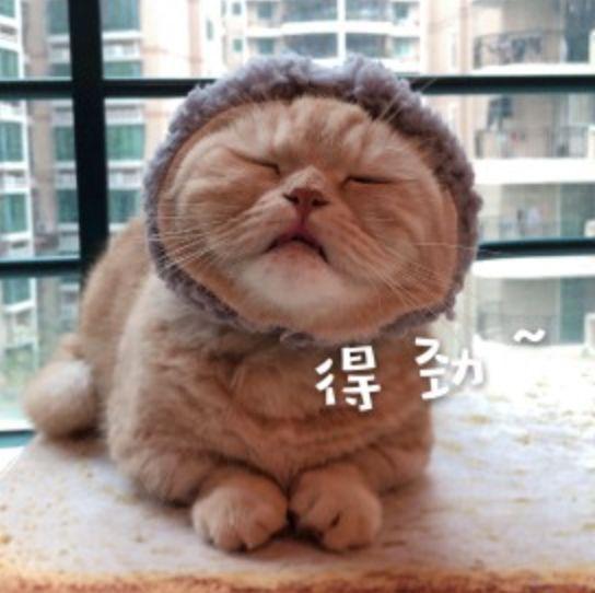 张雨绮鼻子歪到天边的视频都敢往外发！团队是集体造反了？