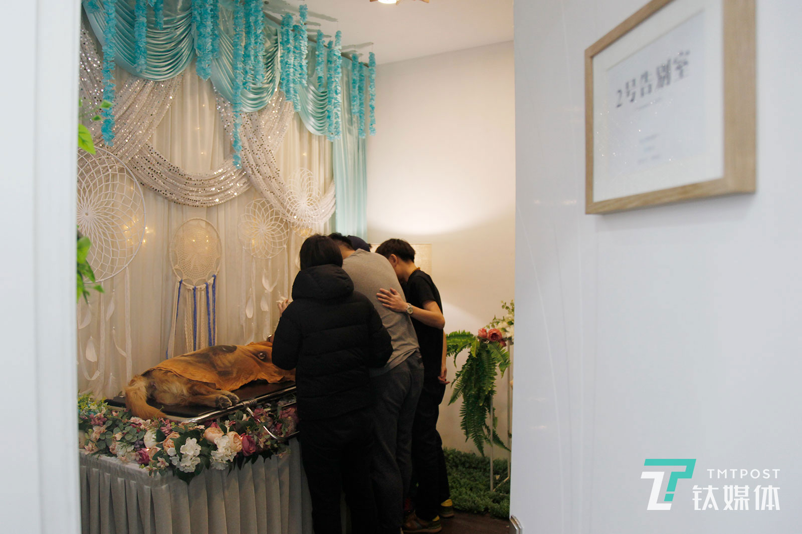 宠物殡葬：3年火化6000只宠物，4亩墓地可安葬250只丨钛媒体影像《在线》