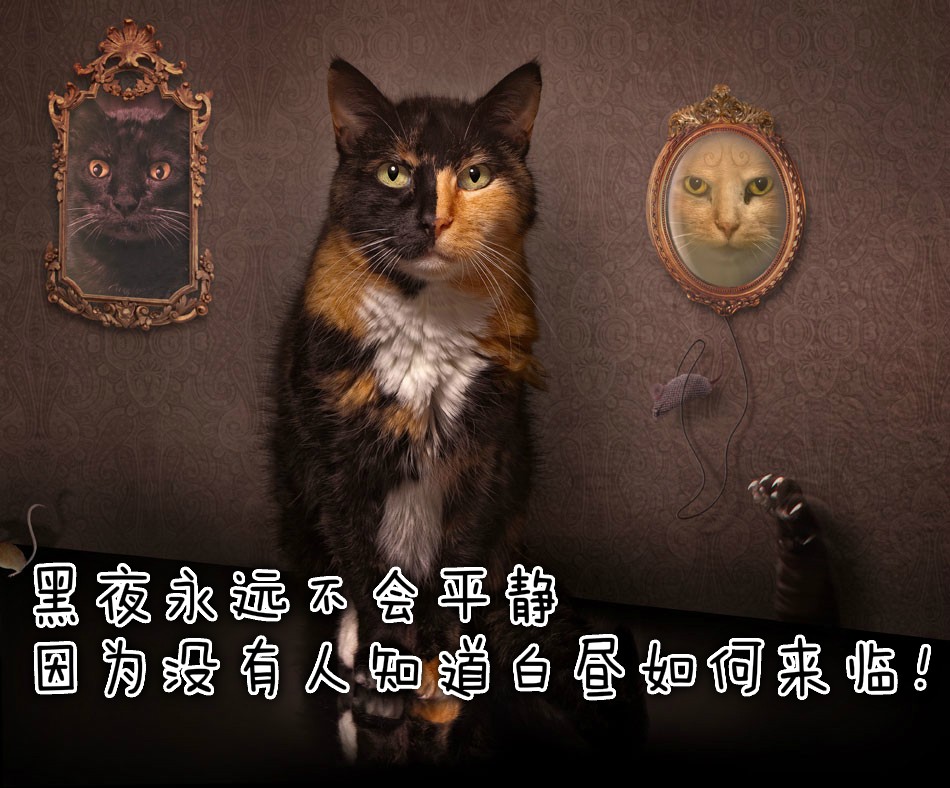 64e8150efdd747eeba2a0edeb36982c9.jpg
