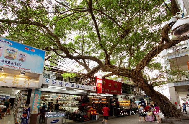 中英街,位于深圳市盐田区沙头角街道的中英街