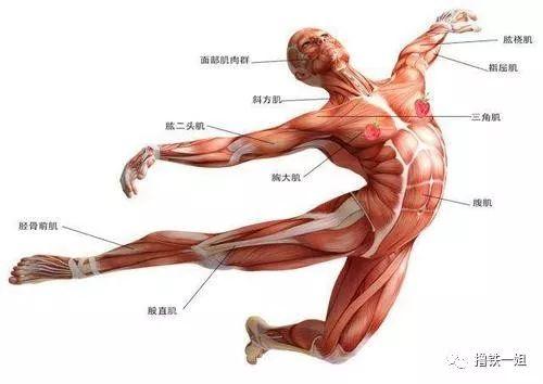 佟丽娅胖了之后又颜颠了！但后背挤出一大坨丸子肉也太难看了！