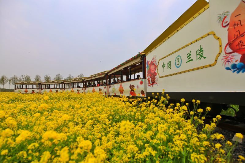 踏春正当时,一起去看山东最大的油菜花海