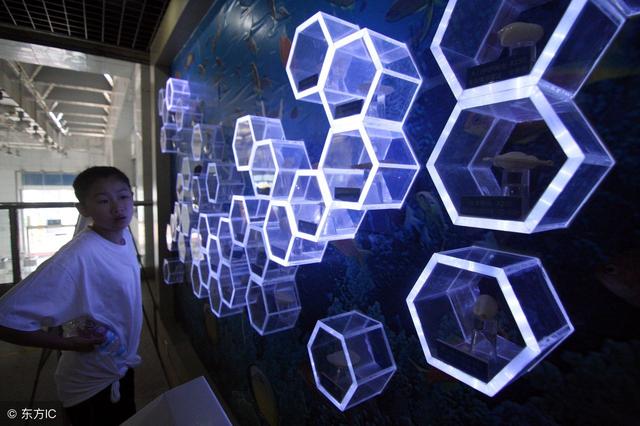 第一代计算机的存储器,几乎都是采用汞延迟线装置作为主存储器