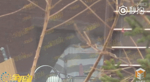 他和前女友分手8个月被曝新恋情？女方好像不简单...