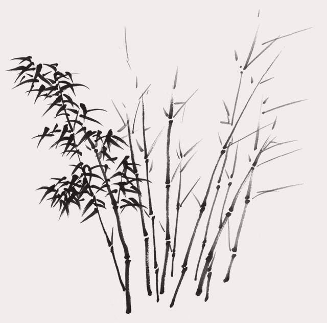 山水画中芦苇、竹、草作为配景这样画更能突显作品质量