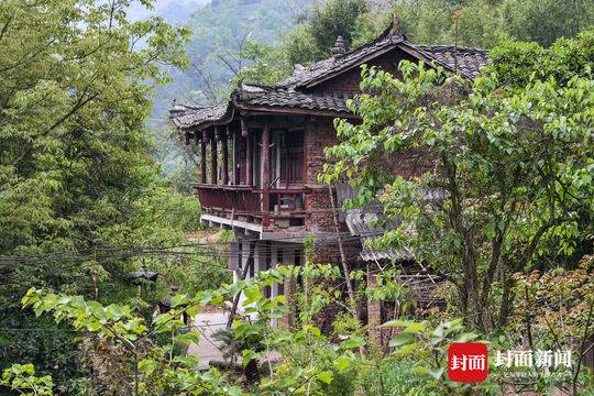 四川发现一条幼龙（山海经异兽录） 第1张