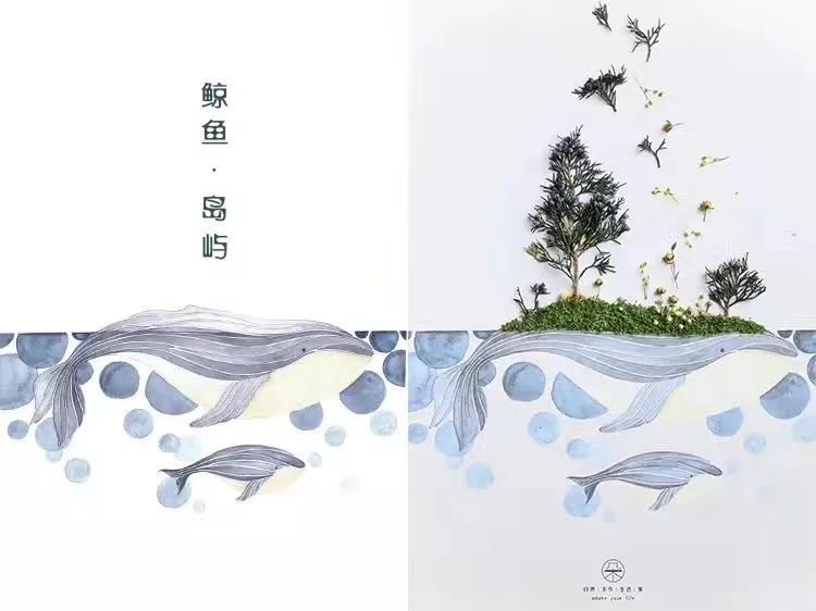 文章配图