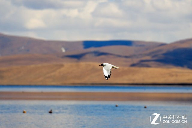 售价11398元松下70-200mm f/4镜头评测
