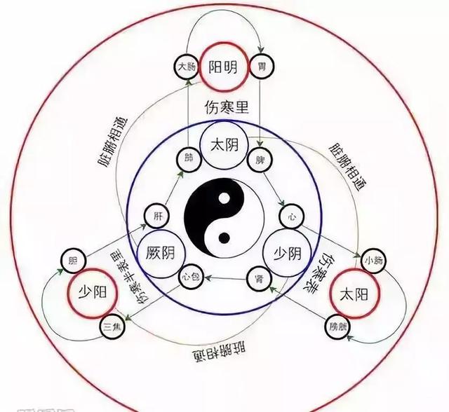 人体精、气、神的开关 特效穴,开九窍,打开关