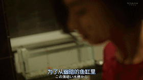 “弃民”孤独死,这可能是苏明玉的另一种结局