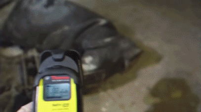 人间地狱切尔诺贝利，现在已经“鸟语花香”