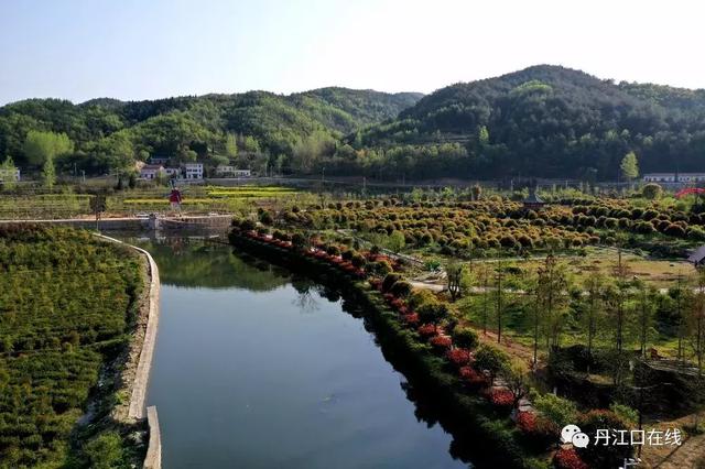 厉害了,丹江口国家森林公园总体规划获批!