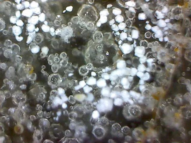 156、瓷器微观典型特征