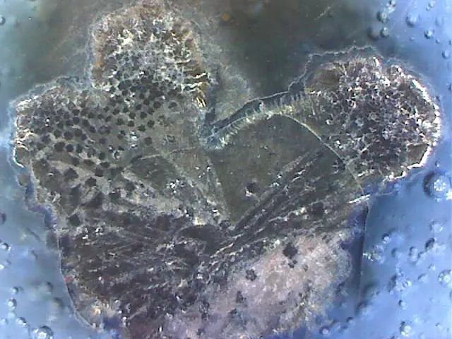 156、瓷器微观典型特征